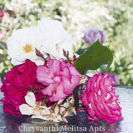 Chrysanthi Melitsa Apts. 斯达林 外观 照片