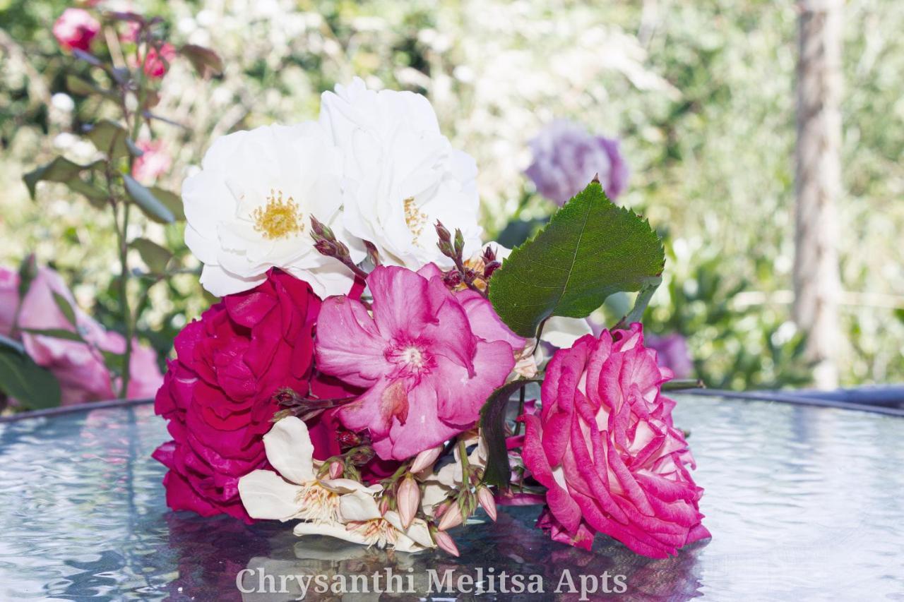 Chrysanthi Melitsa Apts. 斯达林 外观 照片
