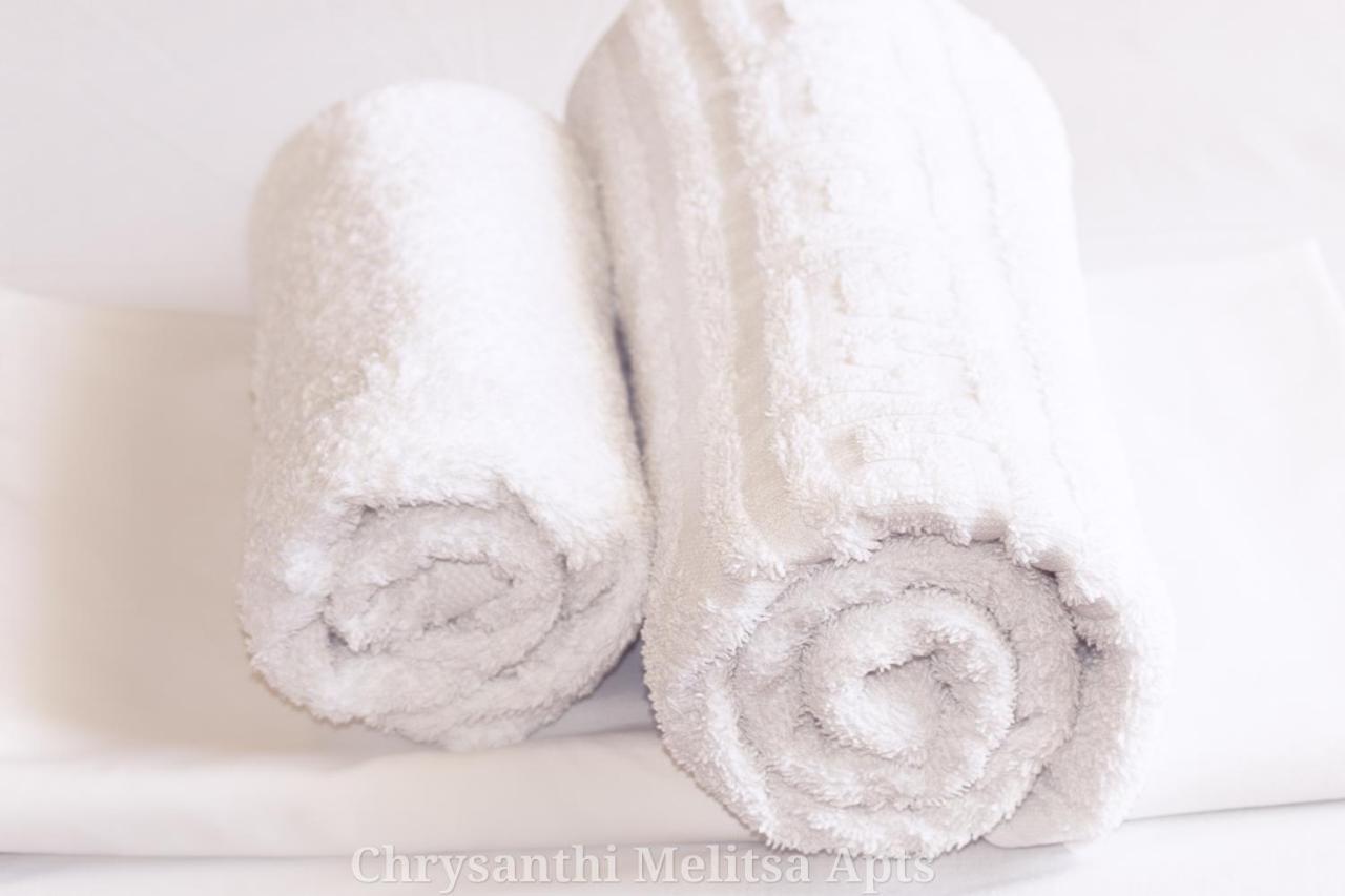 Chrysanthi Melitsa Apts. 斯达林 外观 照片